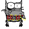 :catjihad: